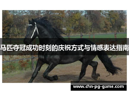 马匹夺冠成功时刻的庆祝方式与情感表达指南 马匹夺冠成功时刻的庆祝方式与情感表达指南