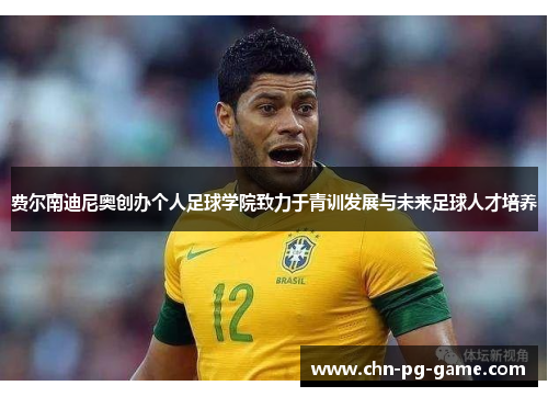 费尔南迪尼奥创办个人足球学院致力于青训发展与未来足球人才培养 费尔南迪尼奥创办个人足球学院致力于青训发展与未来足球人才培养