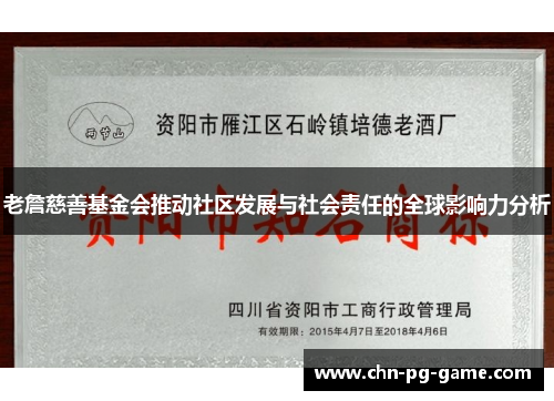 老詹慈善基金会推动社区发展与社会责任的全球影响力分析