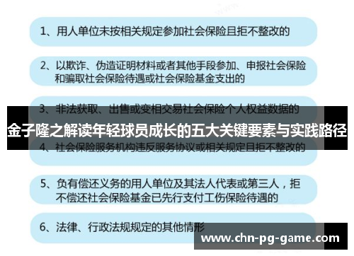 金子隆之解读年轻球员成长的五大关键要素与实践路径